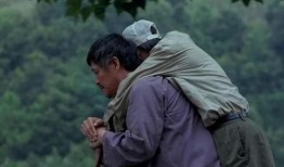 落叶归根电影在线观看,寻根之旅，情感共鸣的影像之旅