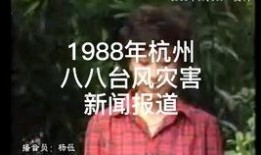 最新台风爆料新闻报道视频,揭秘神秘风暴的行踪与影响