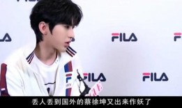 娱乐圈对蔡徐坤的爆料,娱乐圈背后的真相与争议